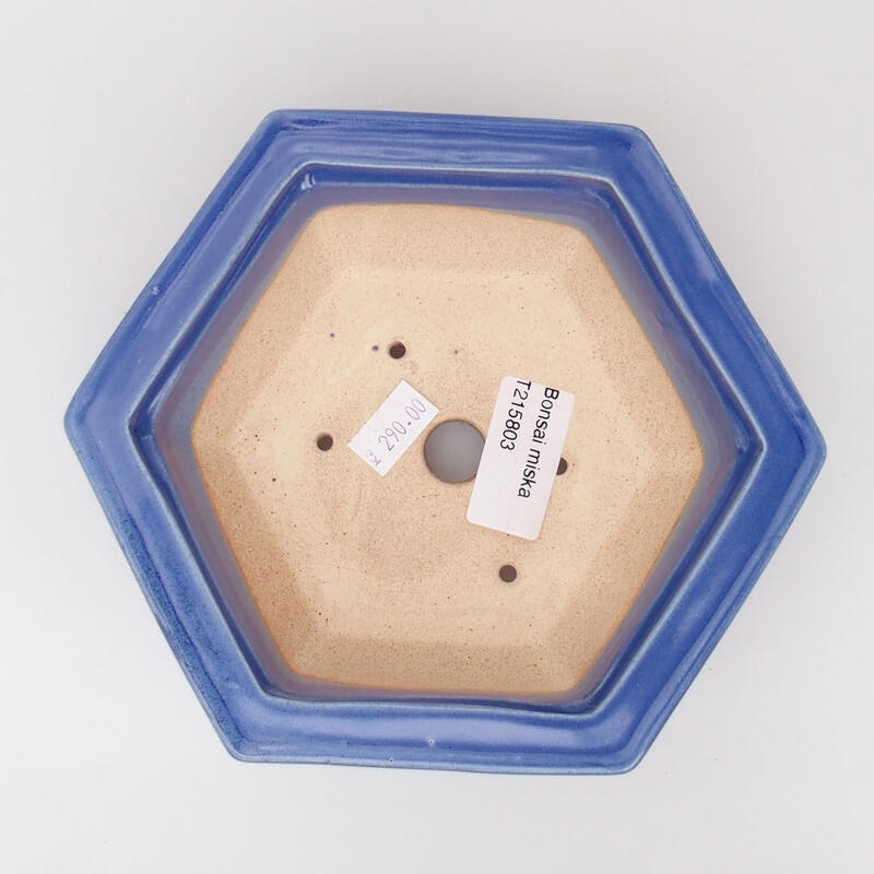 Cuenco bonsái de cerámica 15 x 14 x 5,5 cm, color azul