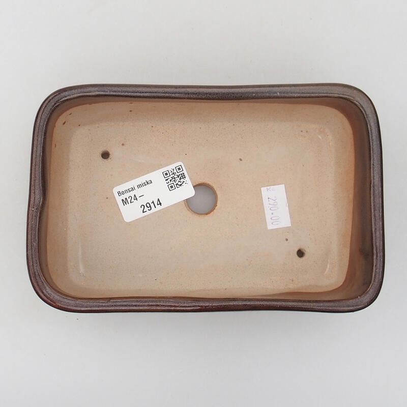 Cuenco bonsái de cerámica 16 x 10 x 5 cm, marrón