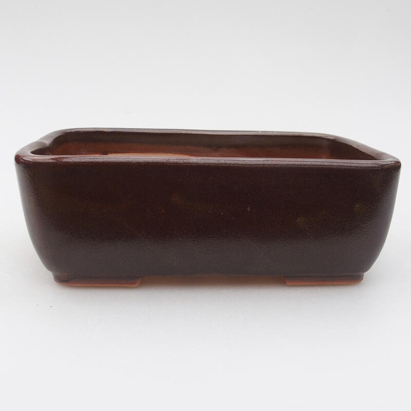 Cuenco bonsái de cerámica 16 x 10 x 5 cm, marrón