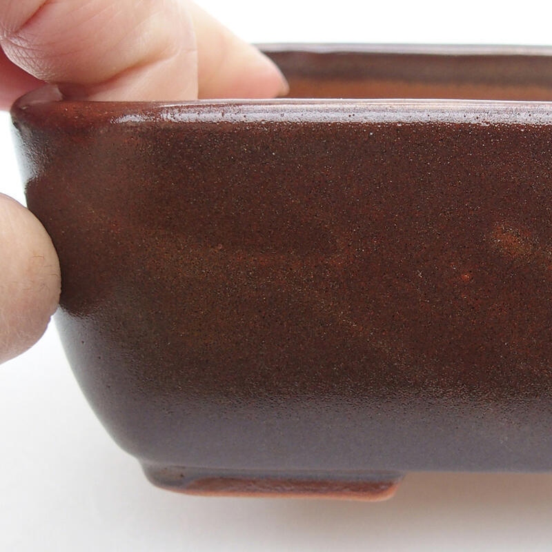 Cuenco bonsái de cerámica 16 x 10 x 5 cm, marrón