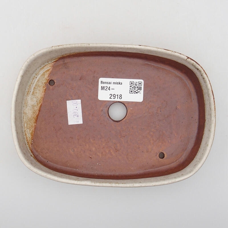 Cuenco bonsái de cerámica 16 x 11 x 3 cm, color beige