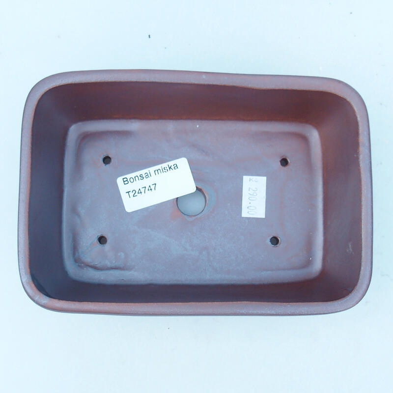 Cuenco bonsái de cerámica 16 x 11 x 5,5 cm, color metálico