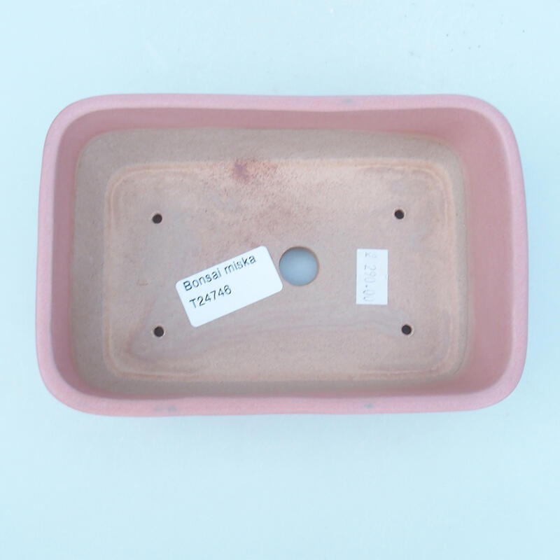 Cuenco bonsái de cerámica 16 x 11 x 5,5 cm, rosa