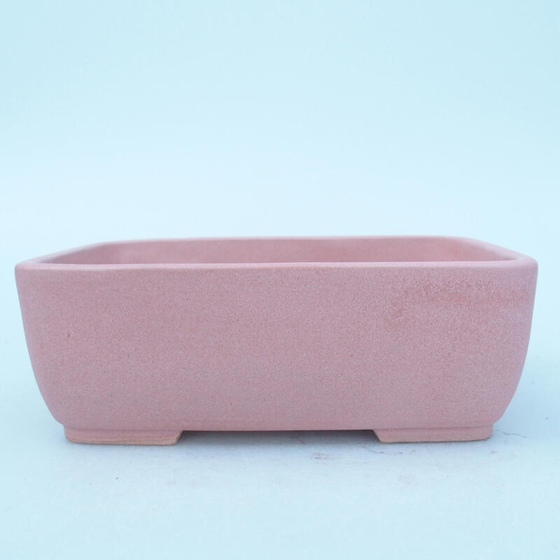 Cuenco bonsái de cerámica 16 x 11 x 5,5 cm, rosa