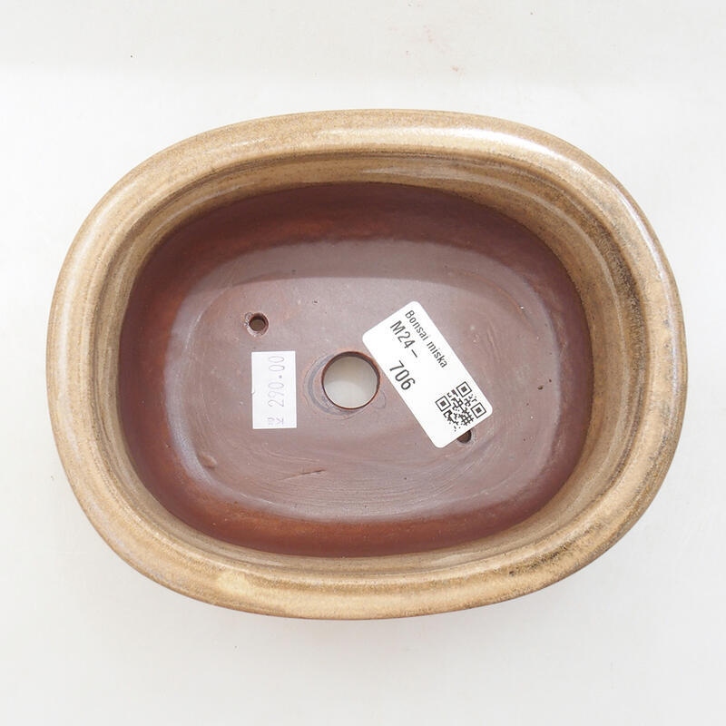 Cuenco bonsái de cerámica 16 x 12,5 x 6 cm, color beige