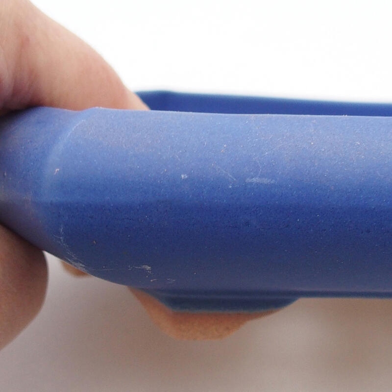 Cuenco bonsái de cerámica 16 x 14 x 3 cm, color azul