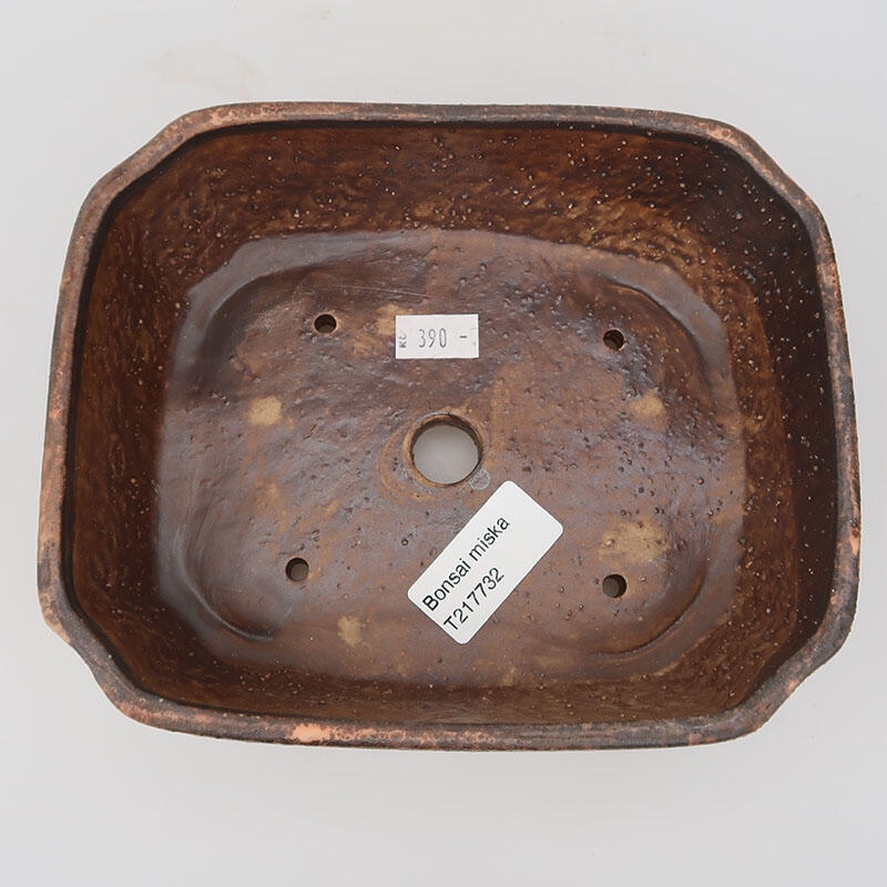 Cuenco bonsái de cerámica 17,5 x 14,5 x 5,5 cm, marrón
