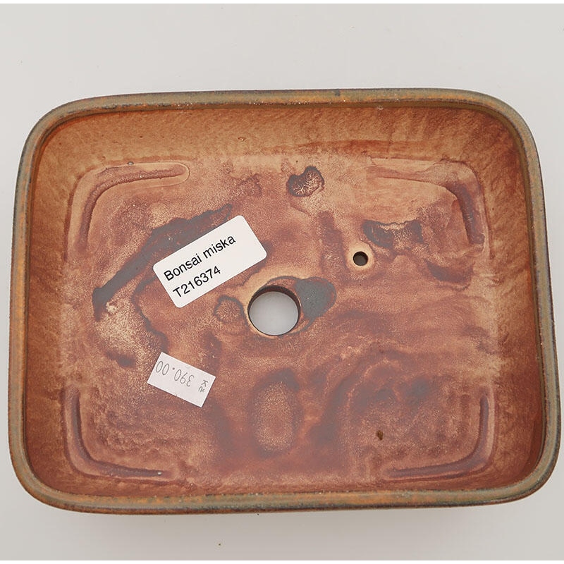 Cuenco bonsái de cerámica 17,5 x 14 x 4,5 cm, marrón