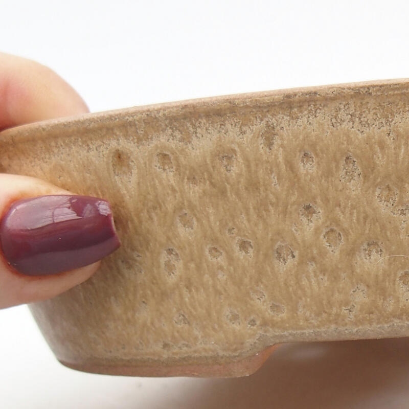 Cuenco bonsái de cerámica 17,5 x 14 x 4 cm, color beige