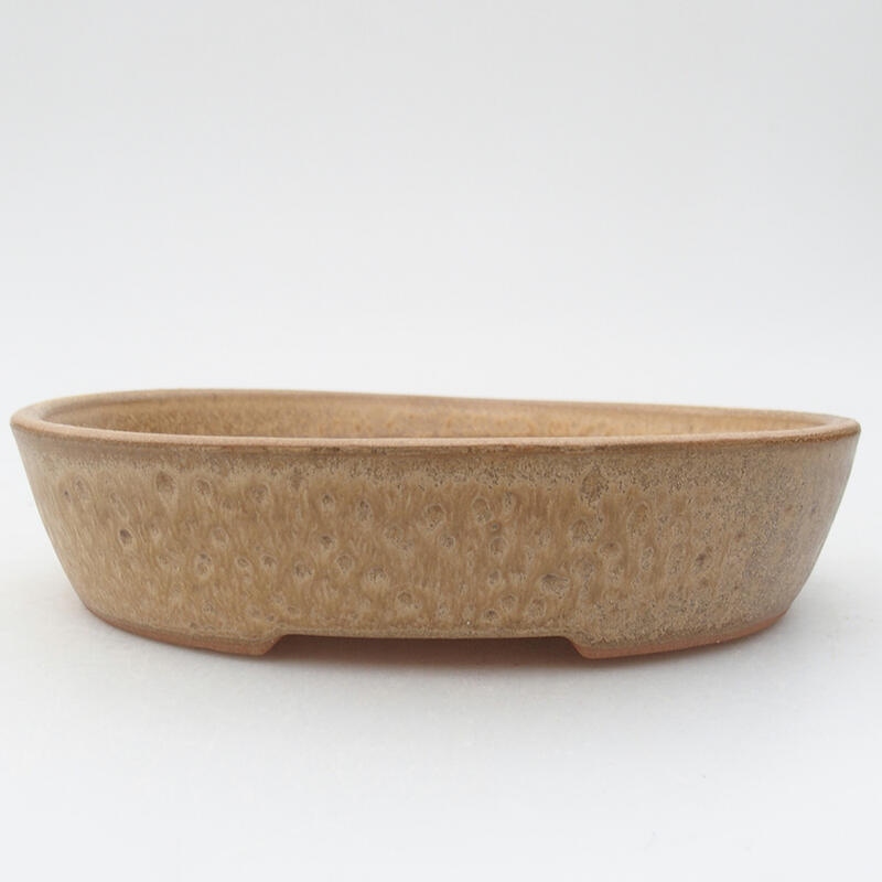 Cuenco bonsái de cerámica 17,5 x 14 x 4 cm, color beige