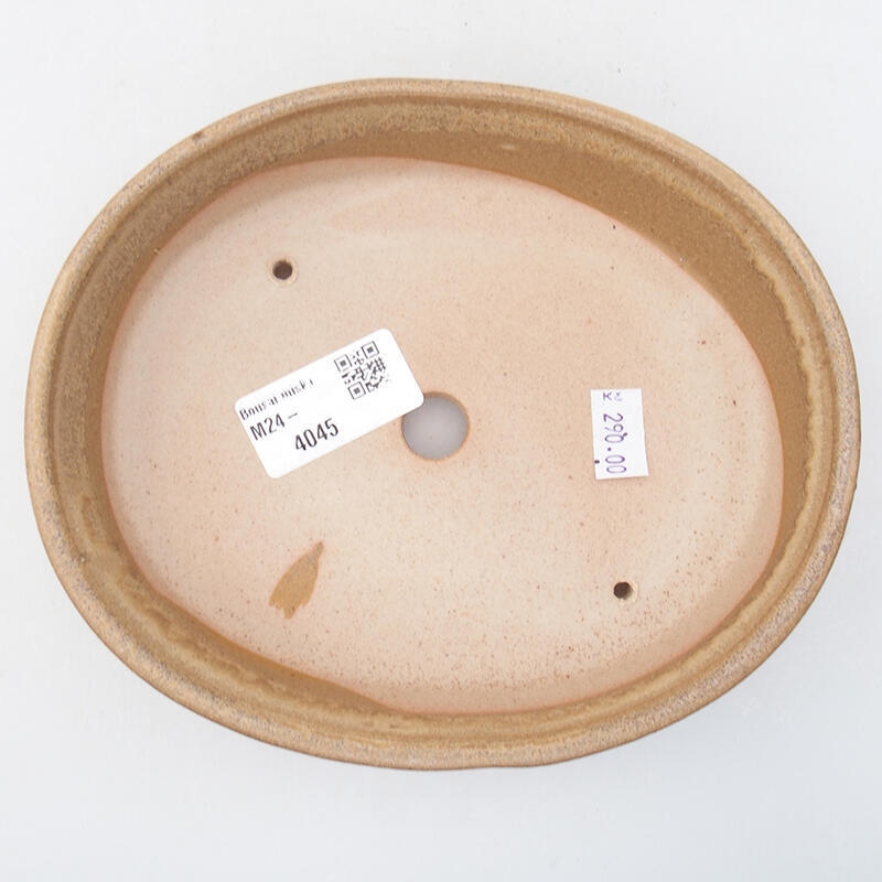 Cuenco bonsái de cerámica 17,5 x 14 x 4 cm, color beige