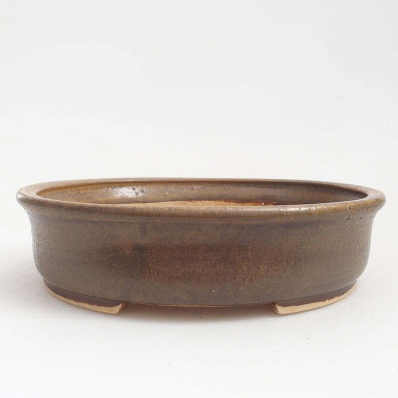Cuenco bonsái de cerámica 17,5 x 16 x 4,5 cm, marrón