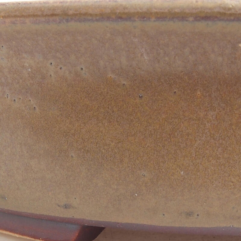 Cuenco bonsái de cerámica 17,5 x 16 x 4,5 cm, marrón