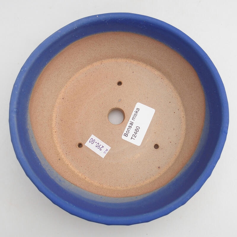 Cuenco bonsái de cerámica 17,5 x 17,5 x 5 cm, color azul