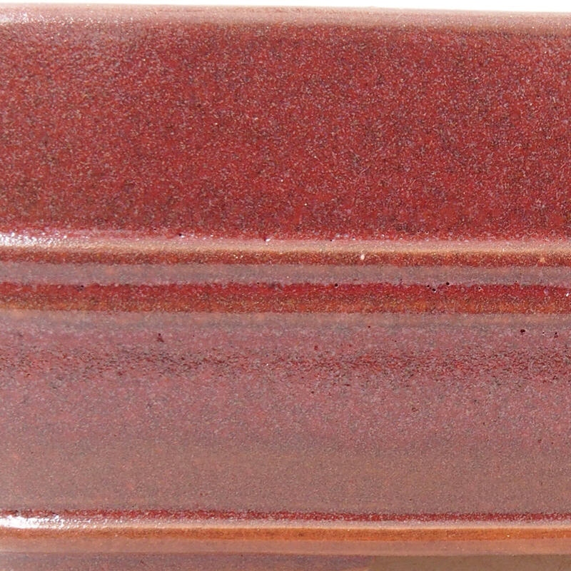 Cuenco bonsái de cerámica 17 x 12,5 x 5,5 cm, burdeos