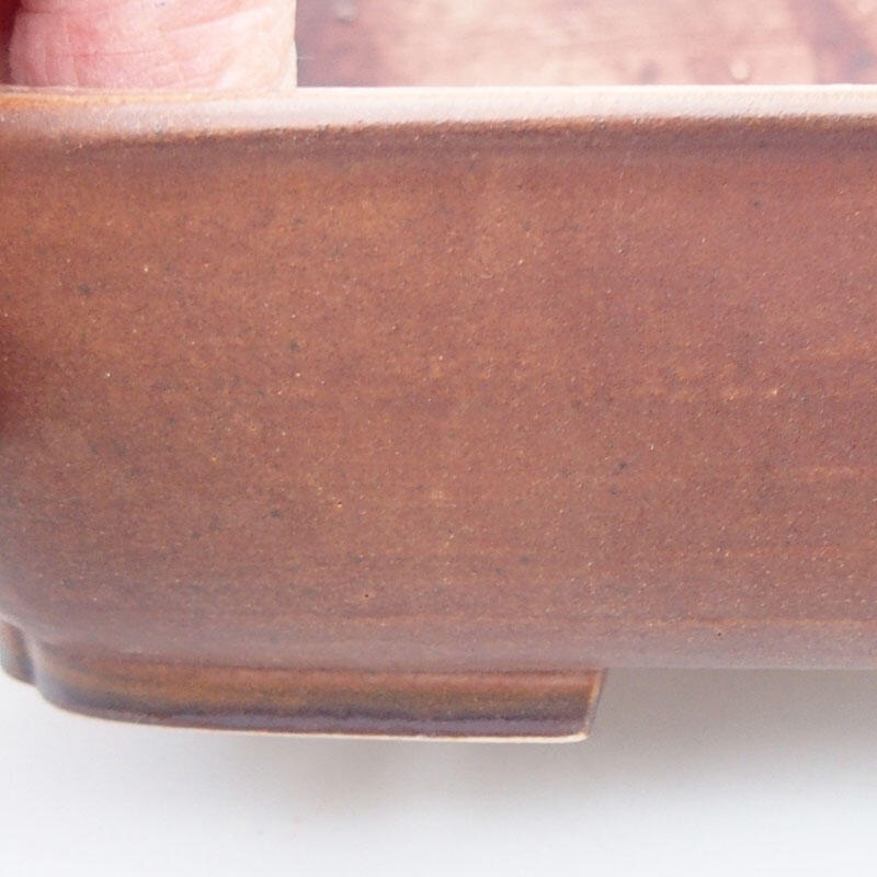 Cuenco bonsái de cerámica 17 x 13 x 4,5 cm, marrón