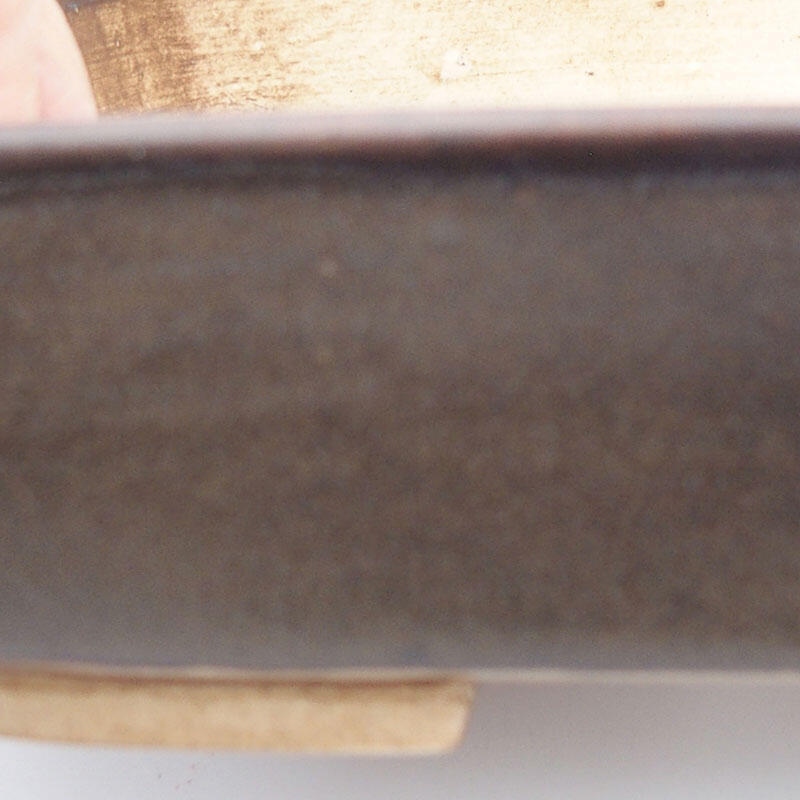 Cuenco bonsái de cerámica 17 x 13 x 4,5 cm, marrón