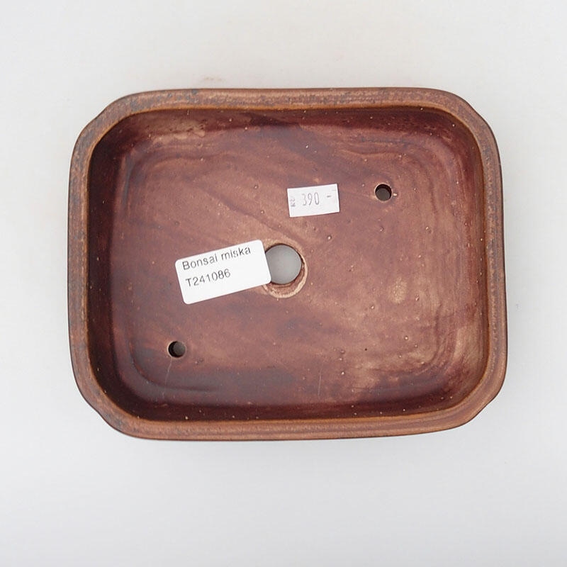 Cuenco bonsái de cerámica 17 x 13 x 4,5 cm, marrón