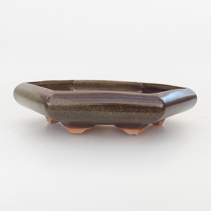 Cuenco bonsái de cerámica 17 x 14 x 3,5 cm, marrón