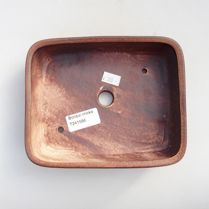 Cuenco bonsái de cerámica 17 x 14 x 4,5 cm, marrón