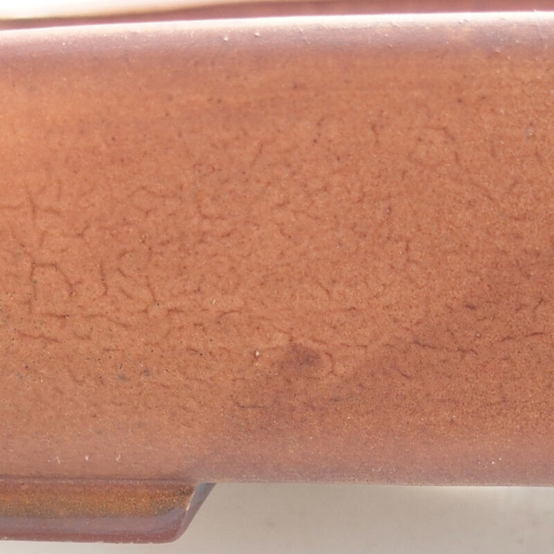 Cuenco bonsái de cerámica 17 x 14 x 4,5 cm, marrón