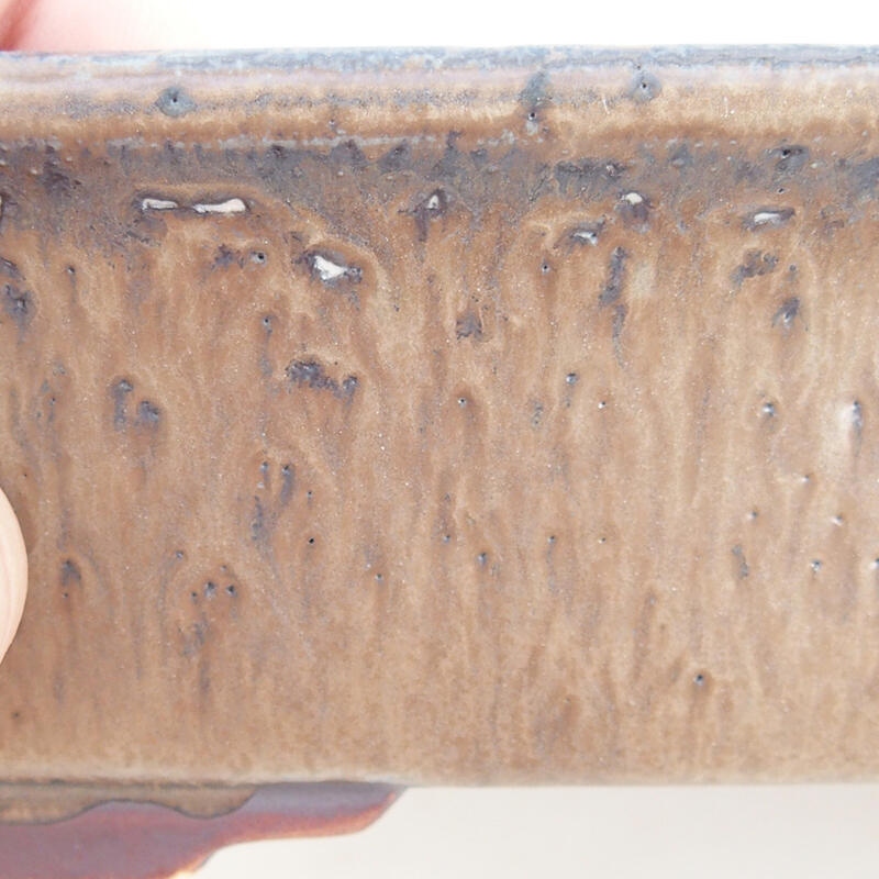 Cuenco bonsái de cerámica 17 x 14 x 5,5 cm, marrón