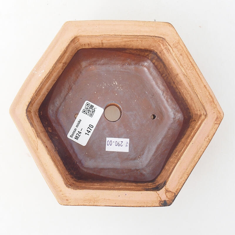 Cuenco bonsái de cerámica 17 x 15 x 6 cm, rosa