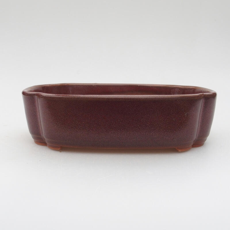Cuenco bonsái de cerámica 18,5 x 13,5 x 5 cm, marrón