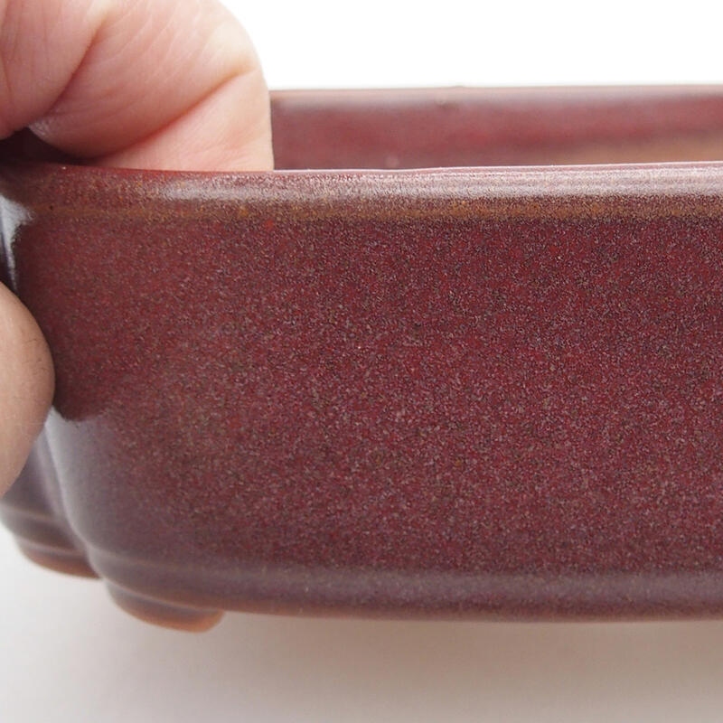 Cuenco bonsái de cerámica 18,5 x 13,5 x 5 cm, marrón