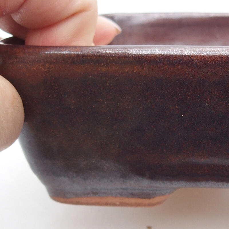 Cuenco bonsái de cerámica 18 x 13 x 4,5 cm, marrón