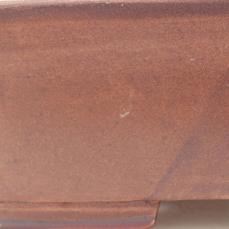 Cuenco bonsái de cerámica 18 x 14,5 x 4,5 cm, marrón