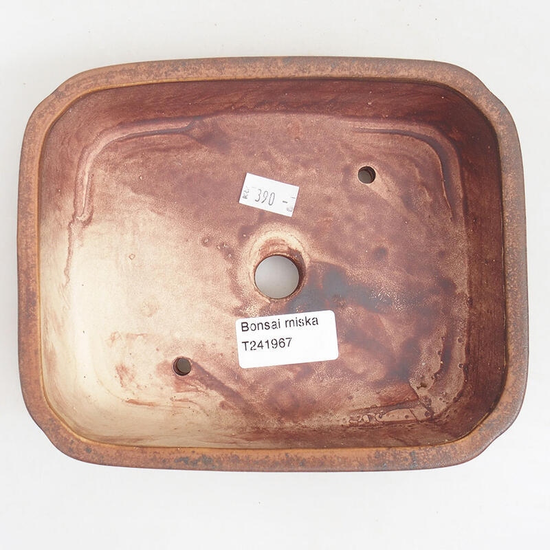 Cuenco bonsái de cerámica 18 x 14,5 x 4,5 cm, marrón