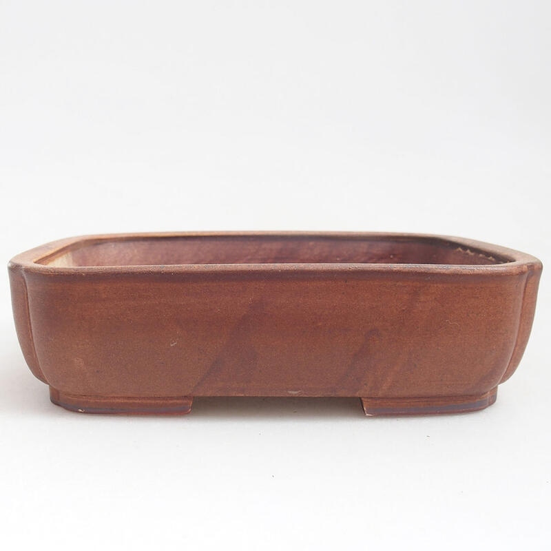 Cuenco bonsái de cerámica 18 x 14,5 x 4,5 cm, marrón