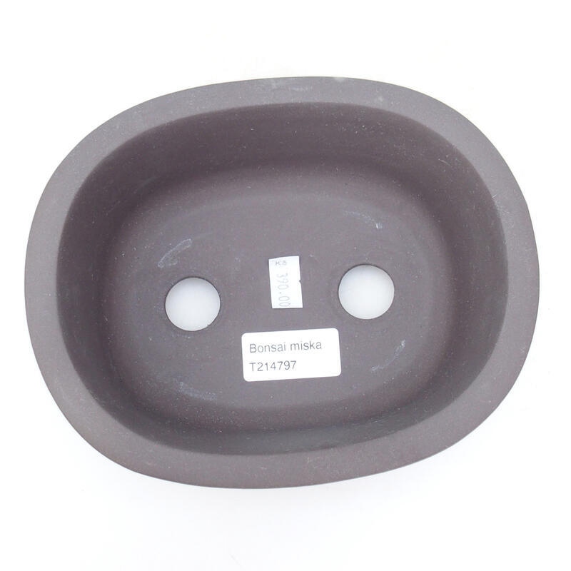 Cuenco bonsái de cerámica 18 x 14,5 x 7 cm, color negro