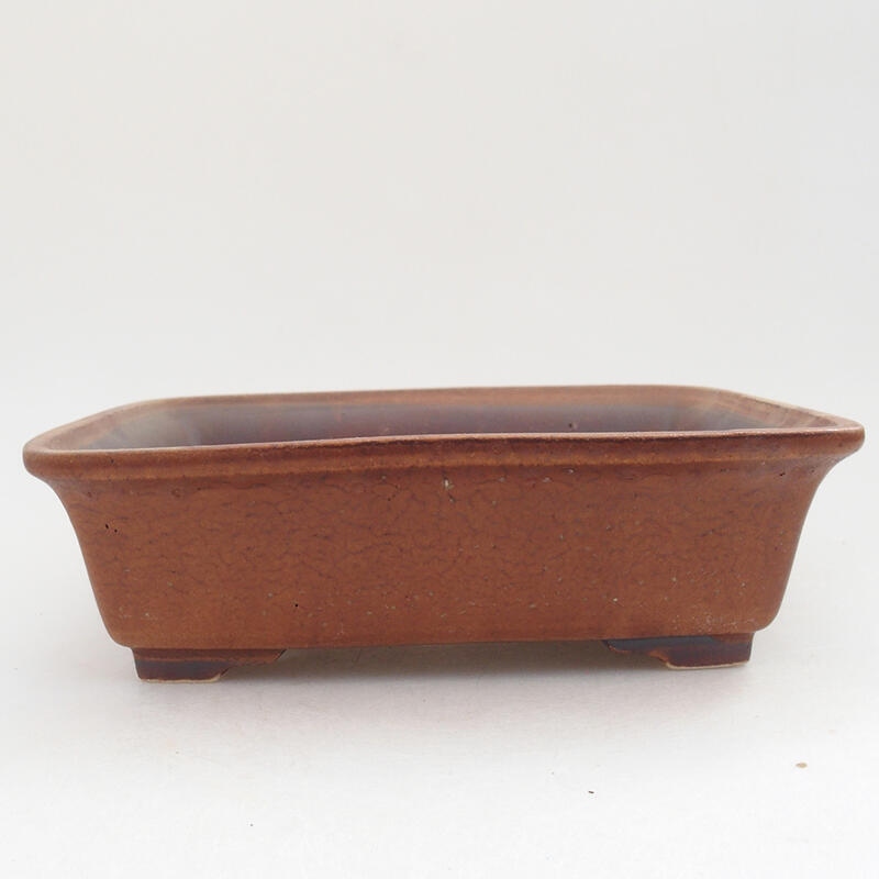Cuenco bonsái de cerámica 18 x 14 x 5,5 cm, marrón
