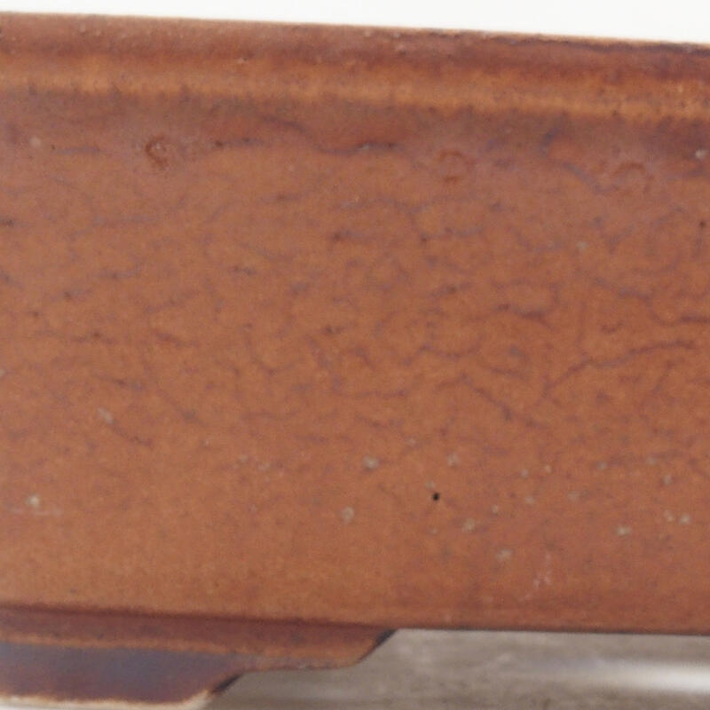 Cuenco bonsái de cerámica 18 x 14 x 5,5 cm, marrón