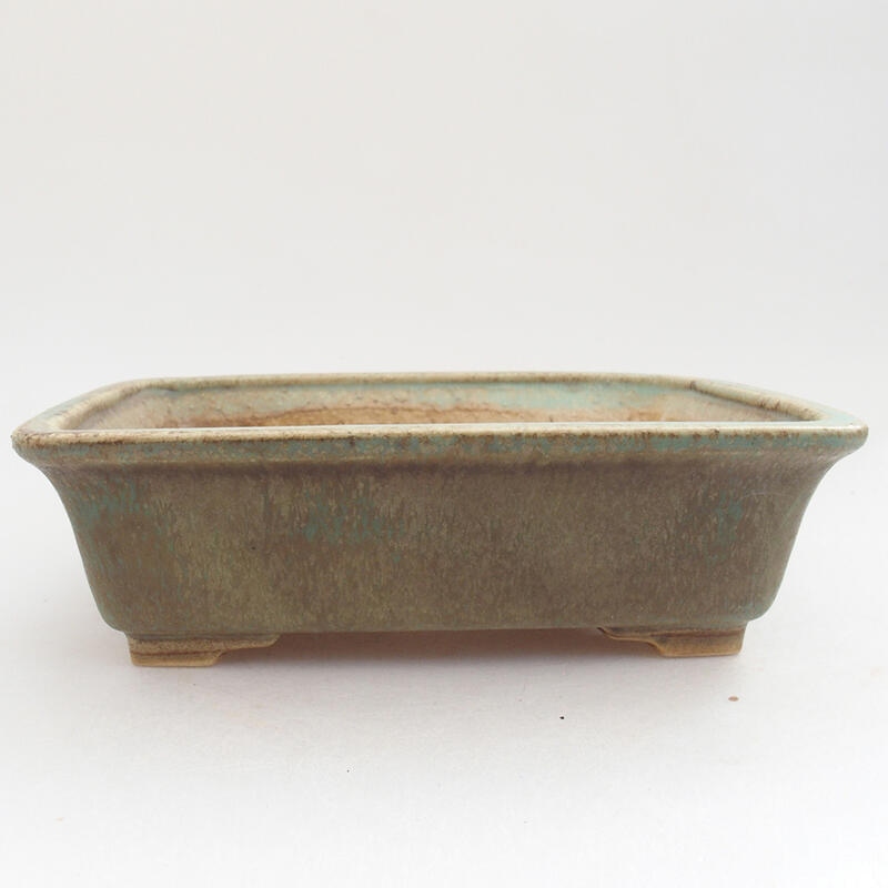 Cuenco bonsái de cerámica 18 x 14 x 5,5 cm, verde