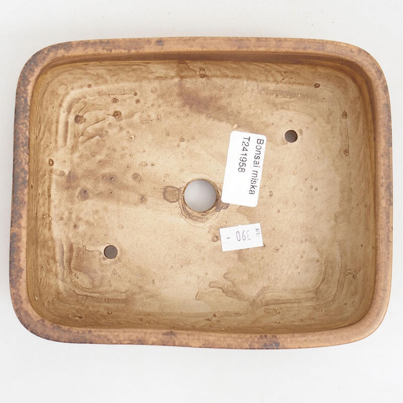 Cuenco bonsái de cerámica 18 x 15 x 4,5 cm, marrón