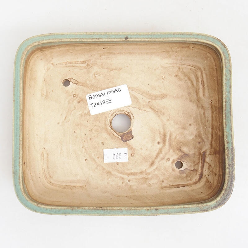 Cuenco bonsái de cerámica 18 x 15 x 4,5 cm, verde