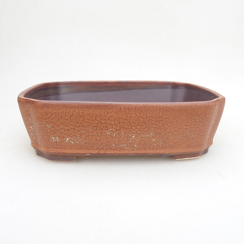 Cuenco bonsái de cerámica 20,5 x 17,5 x 6 cm, marrón