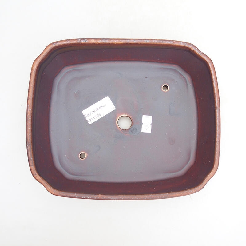 Cuenco bonsái de cerámica 20,5 x 17,5 x 6 cm, marrón