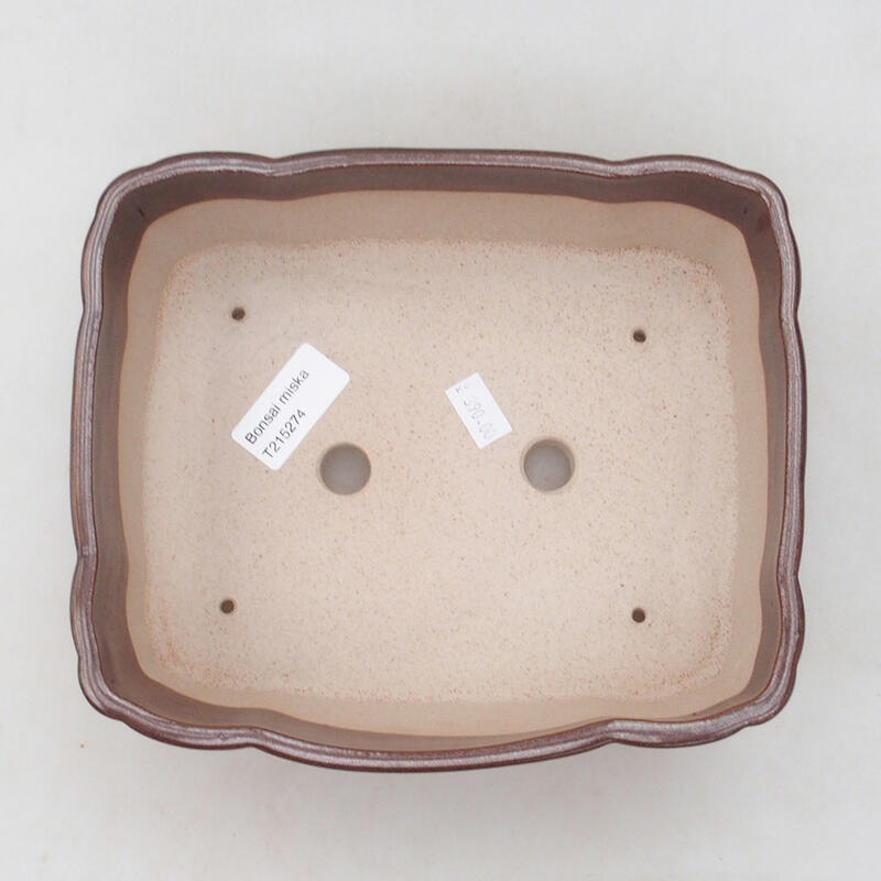 Cuenco bonsái de cerámica 20,5 x 17,5 x 7 cm, marrón