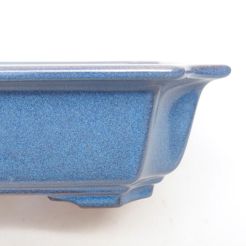Cuenco bonsái de cerámica 21,5 x 21,5 x 6,5 cm, color azul