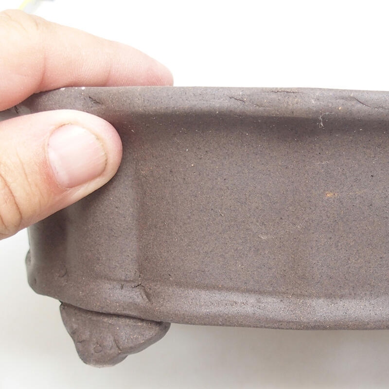 Cuenco bonsái de cerámica 21 x 16 x 7 cm, marrón