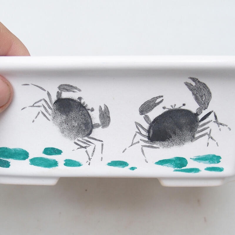 Cuenco bonsái de cerámica 22 x 18 x 7 cm, blanco