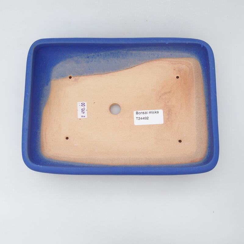 Cuenco bonsái de cerámica 23,5 x 17 x 4 cm, color azul