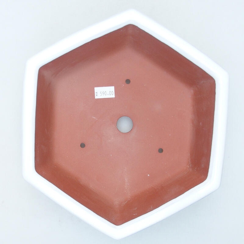 Cuenco bonsái de cerámica 23 x 21 x 6 cm, blanco