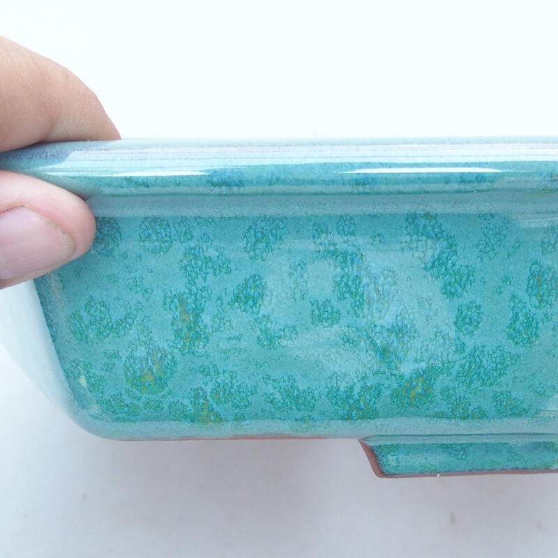 Cuenco bonsái de cerámica 23 x 21 x 6 cm, verde