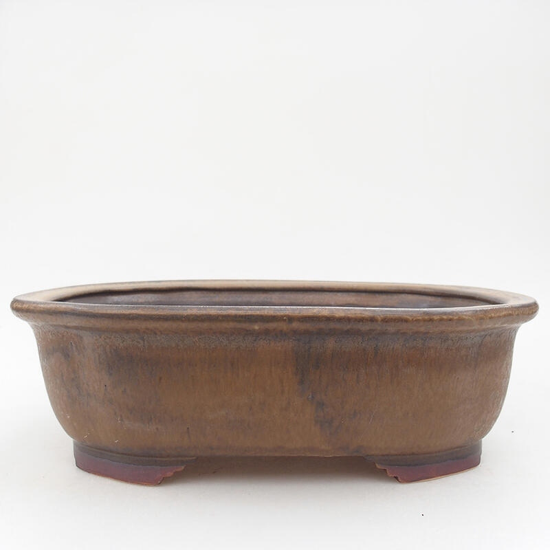 Cuenco bonsái de cerámica 25,5 x 22 x 7,5 cm, marrón
