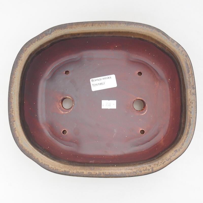 Cuenco bonsái de cerámica 25,5 x 22 x 7,5 cm, marrón